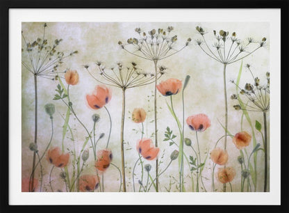 A delicate botanical artwork in a silver frame, featuring translucent orange poppies and the skeletal forms of dried Queen Anne's lace against a soft, textured cream background, creating a dreamy, ethereal meadow scene. Decor