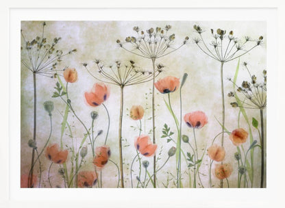 A delicate botanical artwork in a silver frame, featuring translucent orange poppies and the skeletal forms of dried Queen Anne's lace against a soft, textured cream background, creating a dreamy, ethereal meadow scene. Decor