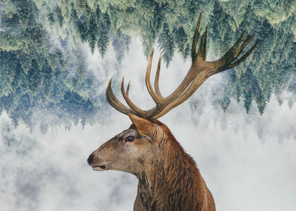 A surreal double-exposure style image featuring the profile of a brown stag with large antlers. The top half of the image is an inverted green pine forest that blends into a foggy, light grey background surrounding the deer. The entire artwork is presented within a silver frame. Poster