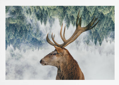 A surreal double-exposure style image featuring the profile of a brown stag with large antlers. The top half of the image is an inverted green pine forest that blends into a foggy, light grey background surrounding the deer. The entire artwork is presented within a silver frame. Poster