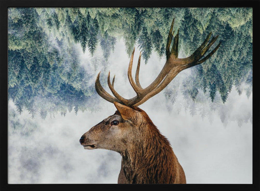 A surreal double-exposure style image featuring the profile of a brown stag with large antlers. The top half of the image is an inverted green pine forest that blends into a foggy, light grey background surrounding the deer. The entire artwork is presented within a silver frame. Poster
