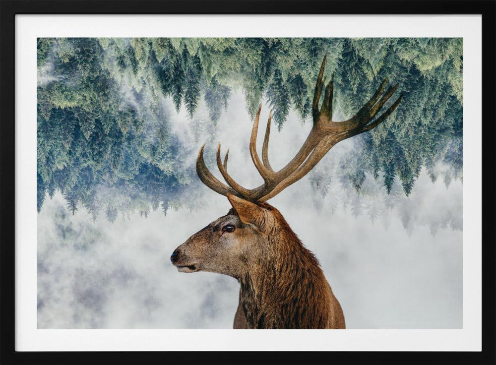 A surreal double-exposure style image featuring the profile of a brown stag with large antlers. The top half of the image is an inverted green pine forest that blends into a foggy, light grey background surrounding the deer. The entire artwork is presented within a silver frame. Poster