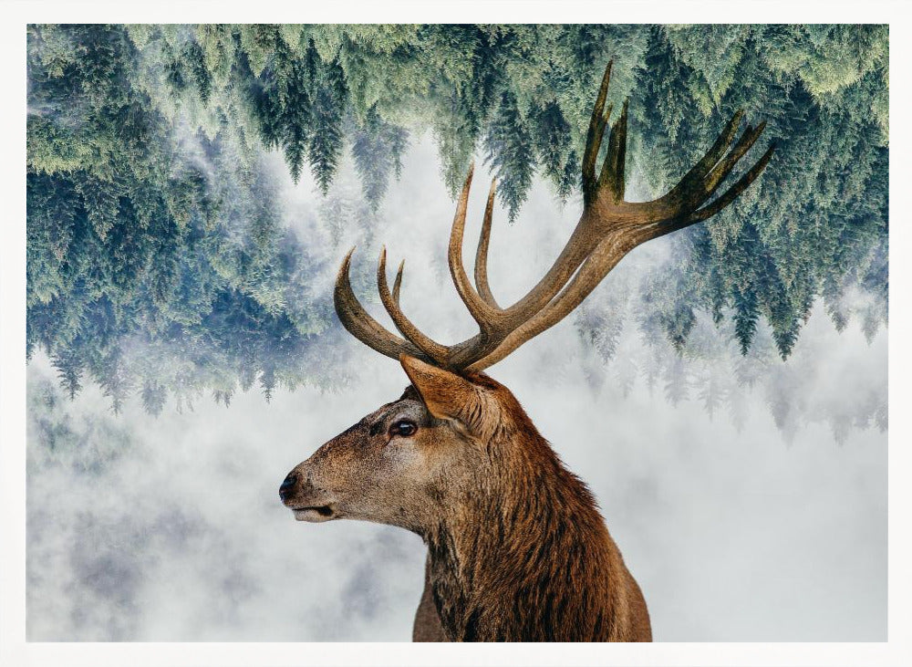 A surreal double-exposure style image featuring the profile of a brown stag with large antlers. The top half of the image is an inverted green pine forest that blends into a foggy, light grey background surrounding the deer. The entire artwork is presented within a silver frame. Poster