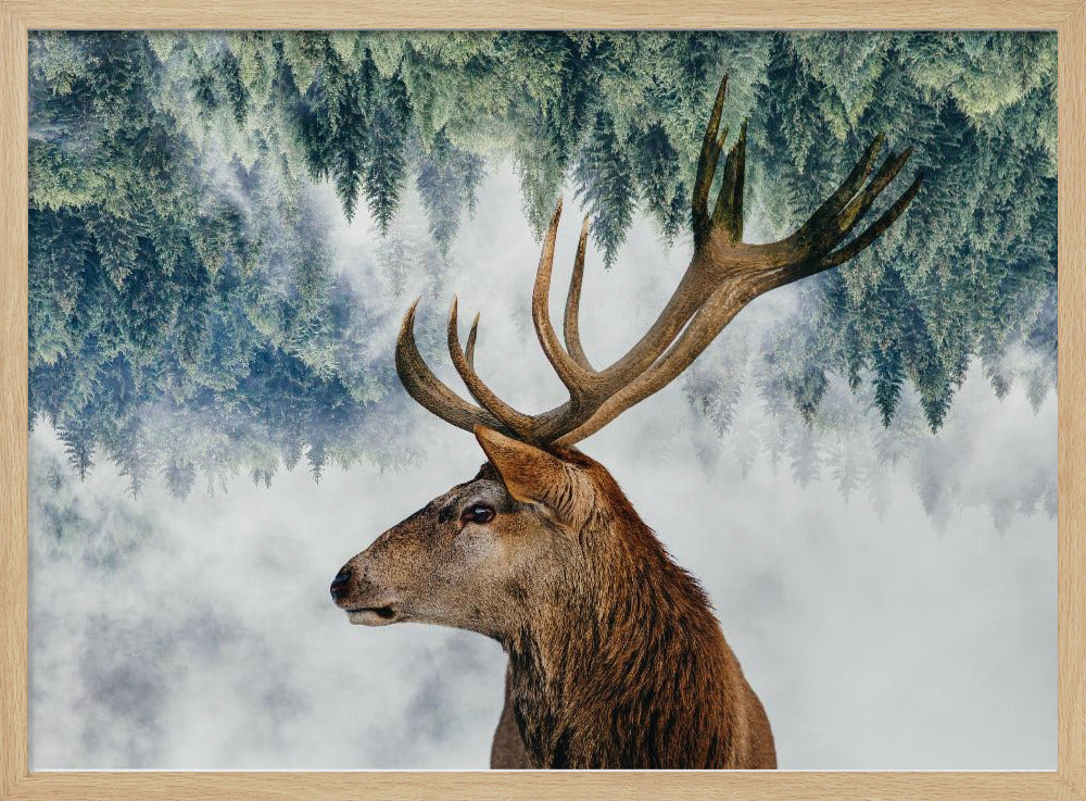 A surreal double-exposure style image featuring the profile of a brown stag with large antlers. The top half of the image is an inverted green pine forest that blends into a foggy, light grey background surrounding the deer. The entire artwork is presented within a silver frame. Poster