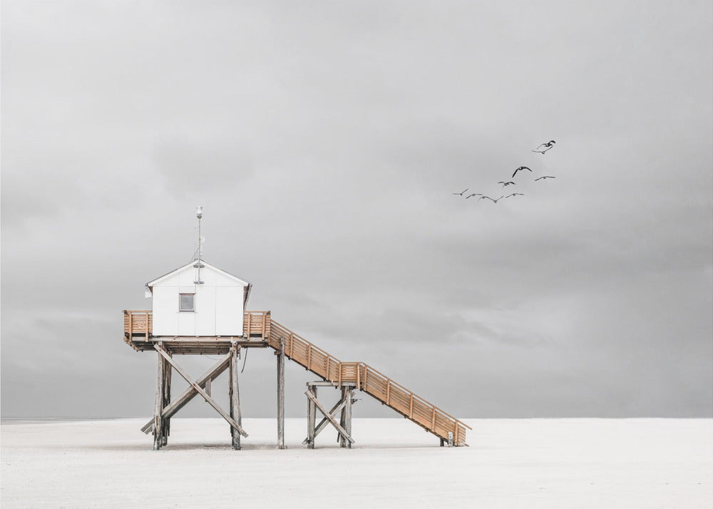 A minimalist, desaturated photograph of a small white cabin on tall wooden stilts on a vast, empty beach. A long wooden staircase leads up to the cabin. The sky is a flat, overcast grey, and a flock of dark birds is visible flying in the distance. Print