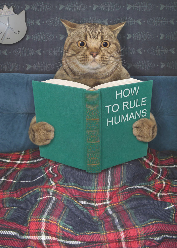 A humorous picture of a brown tabby cat sitting up in bed, intently reading a green book titled 'How To Rule Humans.' The cat is tucked under a red and blue plaid blanket, against a blue headboard with fishbone-patterned wallpaper and a cat-shaped clock in the background. Print