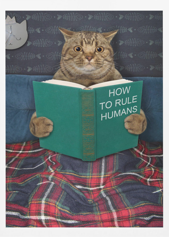 A humorous picture of a brown tabby cat sitting up in bed, intently reading a green book titled 'How To Rule Humans.' The cat is tucked under a red and blue plaid blanket, against a blue headboard with fishbone-patterned wallpaper and a cat-shaped clock in the background. Print