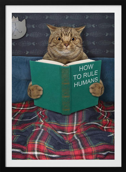 A humorous picture of a brown tabby cat sitting up in bed, intently reading a green book titled 'How To Rule Humans.' The cat is tucked under a red and blue plaid blanket, against a blue headboard with fishbone-patterned wallpaper and a cat-shaped clock in the background. Print