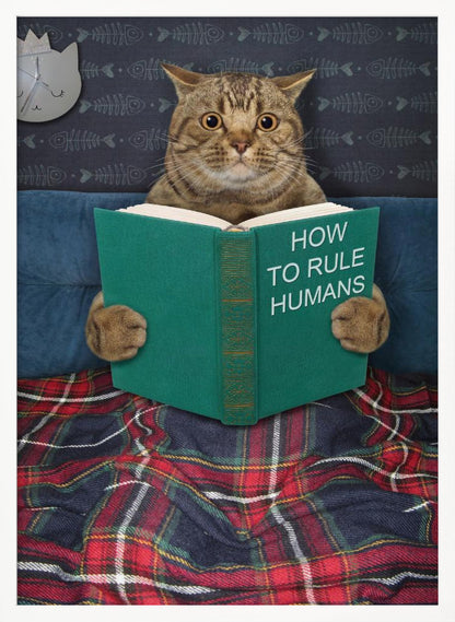 A humorous picture of a brown tabby cat sitting up in bed, intently reading a green book titled 'How To Rule Humans.' The cat is tucked under a red and blue plaid blanket, against a blue headboard with fishbone-patterned wallpaper and a cat-shaped clock in the background. Print