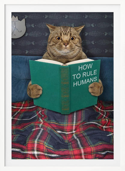 A humorous picture of a brown tabby cat sitting up in bed, intently reading a green book titled 'How To Rule Humans.' The cat is tucked under a red and blue plaid blanket, against a blue headboard with fishbone-patterned wallpaper and a cat-shaped clock in the background. Print