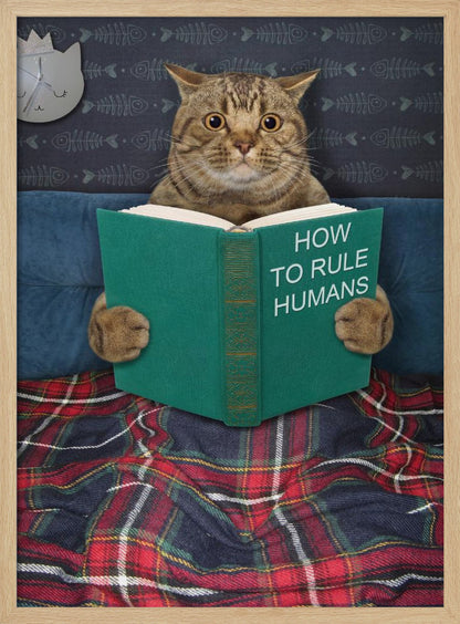 A humorous picture of a brown tabby cat sitting up in bed, intently reading a green book titled 'How To Rule Humans.' The cat is tucked under a red and blue plaid blanket, against a blue headboard with fishbone-patterned wallpaper and a cat-shaped clock in the background. Print