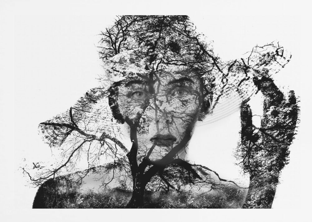 A surreal black and white double exposure artwork in a silver frame. The image combines a close-up portrait of a person's face with the intricate silhouette of bare, branching trees against a white background, creating a complex and thought-provoking visual. Poster