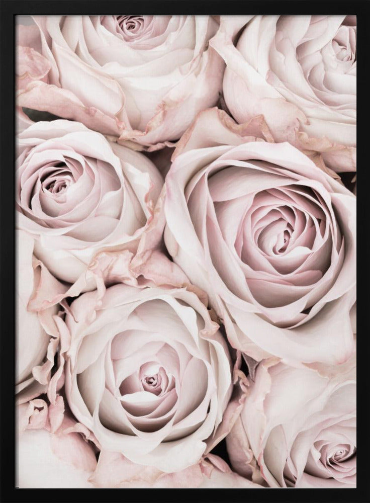 A close-up, overhead photograph of a dense bouquet of dusty pink roses with delicate, layered petals, all framed in black. Wall Art