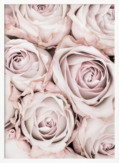 A close-up, overhead photograph of a dense bouquet of dusty pink roses with delicate, layered petals, all framed in black. Wall Art