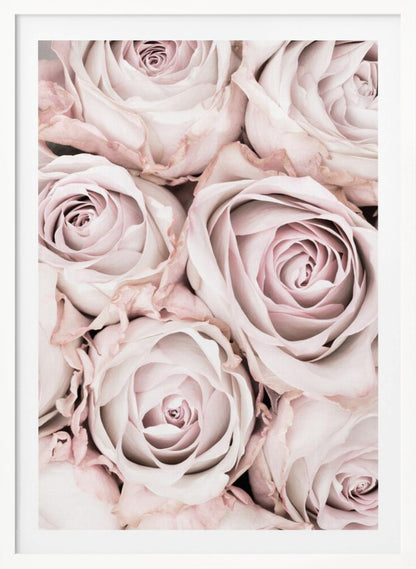 A close-up, overhead photograph of a dense bouquet of dusty pink roses with delicate, layered petals, all framed in black. Wall Art