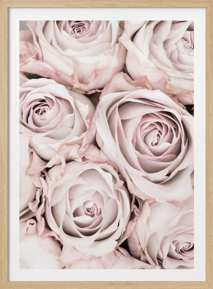 A close-up, overhead photograph of a dense bouquet of dusty pink roses with delicate, layered petals, all framed in black. Wall Art
