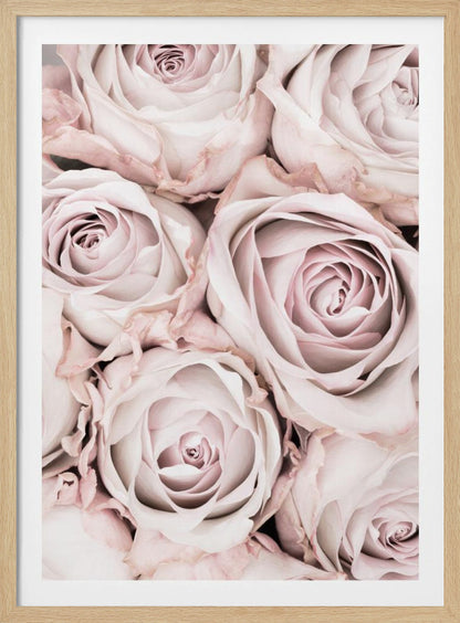 A close-up, overhead photograph of a dense bouquet of dusty pink roses with delicate, layered petals, all framed in black. Wall Art