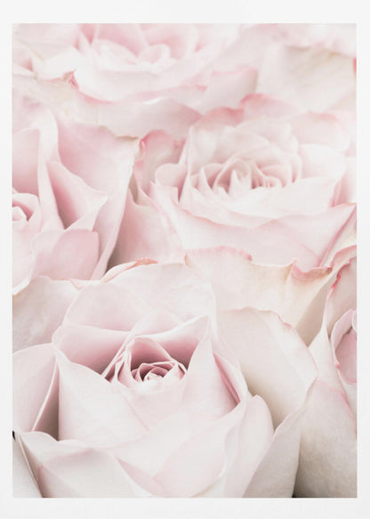 A close-up, soft-focus photograph of a bouquet of delicate, light pink roses filling the entire frame, enclosed in a simple black border. Poster