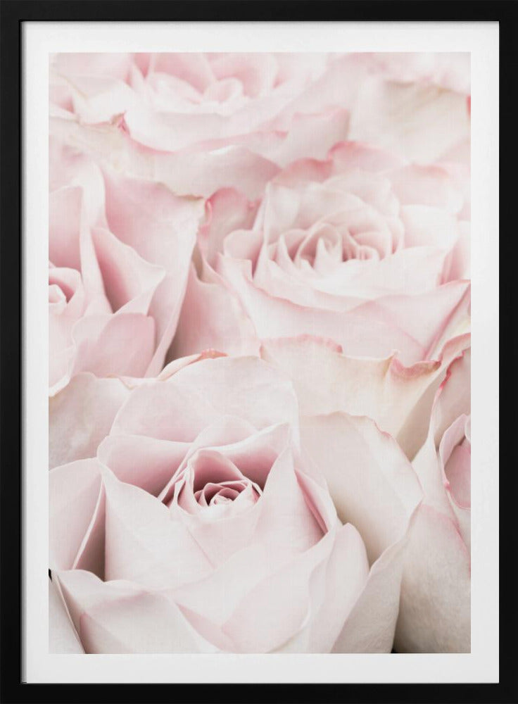 A close-up, soft-focus photograph of a bouquet of delicate, light pink roses filling the entire frame, enclosed in a simple black border. Poster