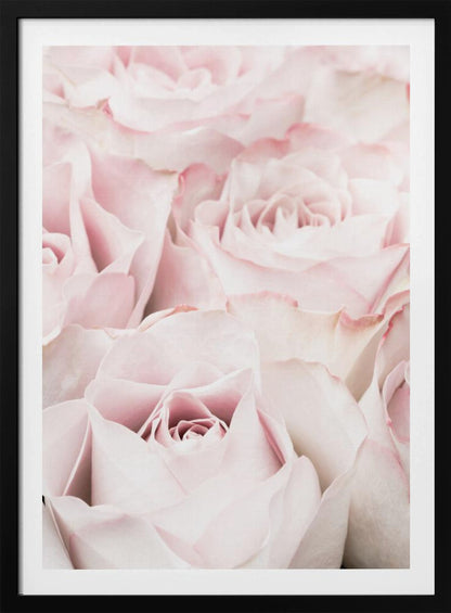 A close-up, soft-focus photograph of a bouquet of delicate, light pink roses filling the entire frame, enclosed in a simple black border. Poster