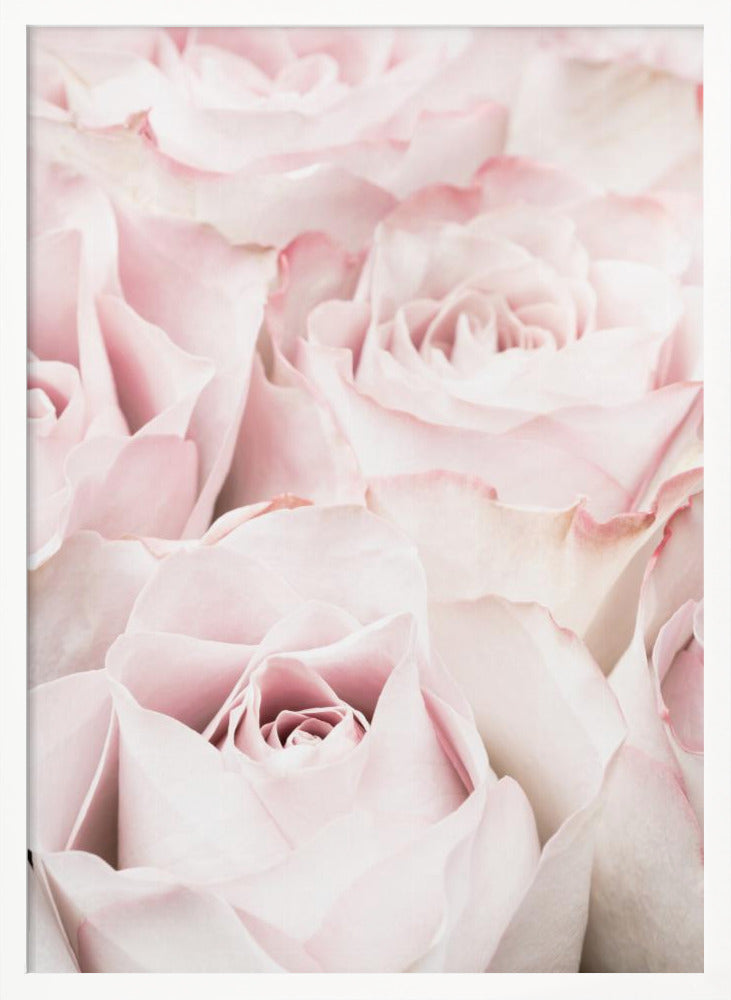 A close-up, soft-focus photograph of a bouquet of delicate, light pink roses filling the entire frame, enclosed in a simple black border. Poster