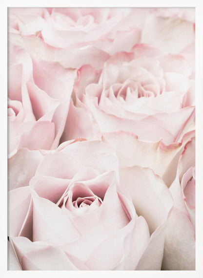 A close-up, soft-focus photograph of a bouquet of delicate, light pink roses filling the entire frame, enclosed in a simple black border. Poster