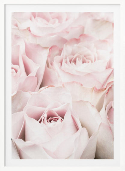 A close-up, soft-focus photograph of a bouquet of delicate, light pink roses filling the entire frame, enclosed in a simple black border. Poster