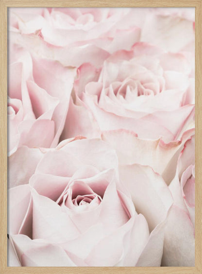 A close-up, soft-focus photograph of a bouquet of delicate, light pink roses filling the entire frame, enclosed in a simple black border. Poster