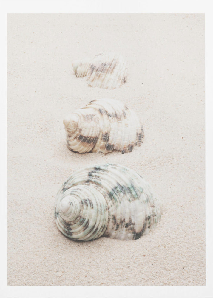 A close-up photograph of three seashells arranged in a vertical line on pale, fine-grained sand. The shells increase in size from top to bottom, with the largest, a white and green patterned turban shell, in the foreground. The image has a soft, serene quality and is enclosed in a black frame. Print