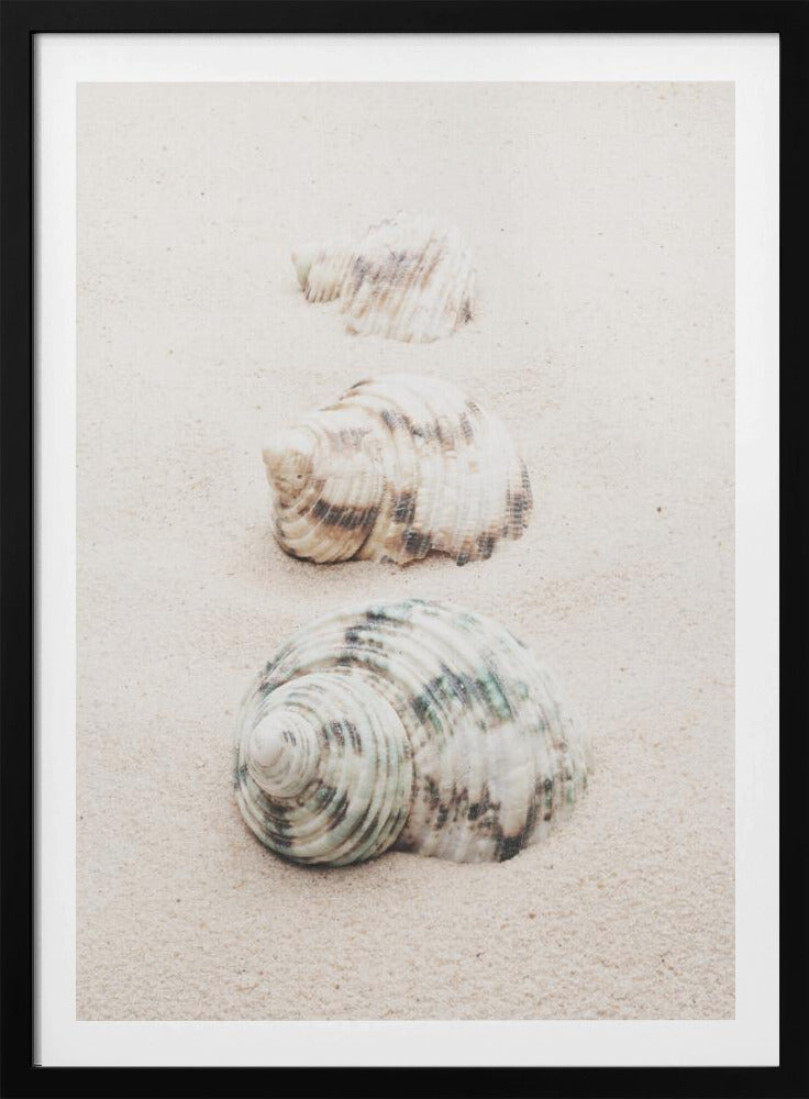 A close-up photograph of three seashells arranged in a vertical line on pale, fine-grained sand. The shells increase in size from top to bottom, with the largest, a white and green patterned turban shell, in the foreground. The image has a soft, serene quality and is enclosed in a black frame. Print
