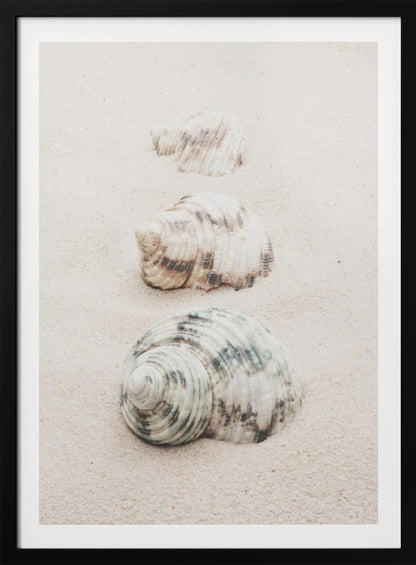 A close-up photograph of three seashells arranged in a vertical line on pale, fine-grained sand. The shells increase in size from top to bottom, with the largest, a white and green patterned turban shell, in the foreground. The image has a soft, serene quality and is enclosed in a black frame. Print