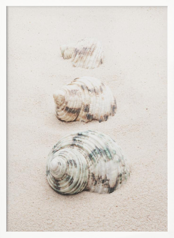 A close-up photograph of three seashells arranged in a vertical line on pale, fine-grained sand. The shells increase in size from top to bottom, with the largest, a white and green patterned turban shell, in the foreground. The image has a soft, serene quality and is enclosed in a black frame. Print
