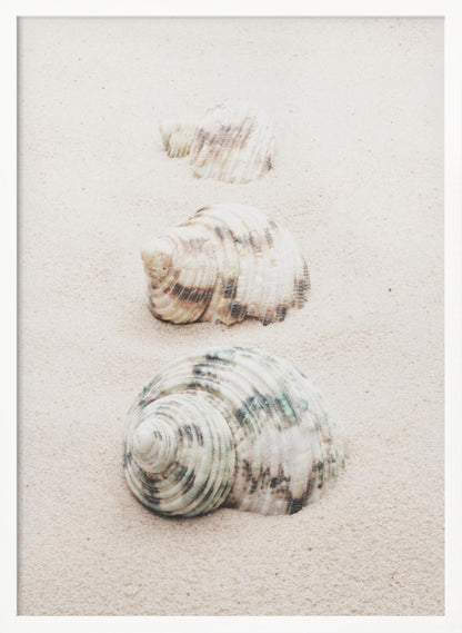 A close-up photograph of three seashells arranged in a vertical line on pale, fine-grained sand. The shells increase in size from top to bottom, with the largest, a white and green patterned turban shell, in the foreground. The image has a soft, serene quality and is enclosed in a black frame. Print