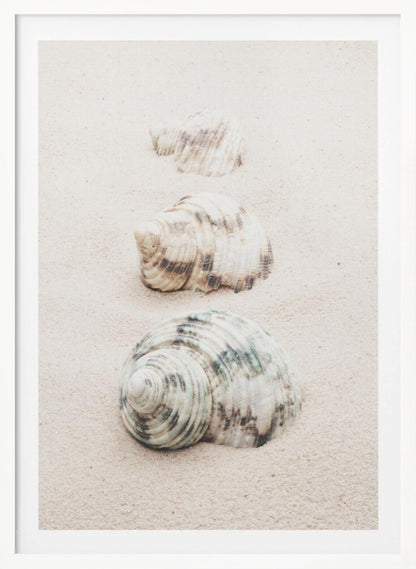 A close-up photograph of three seashells arranged in a vertical line on pale, fine-grained sand. The shells increase in size from top to bottom, with the largest, a white and green patterned turban shell, in the foreground. The image has a soft, serene quality and is enclosed in a black frame. Print