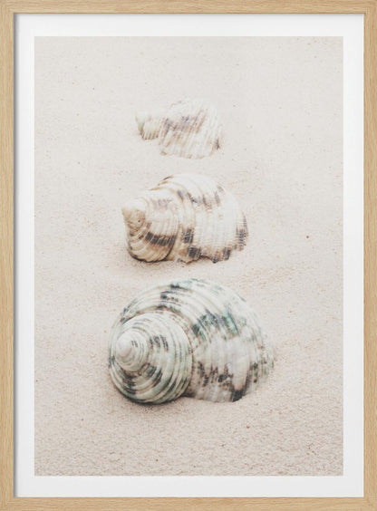 A close-up photograph of three seashells arranged in a vertical line on pale, fine-grained sand. The shells increase in size from top to bottom, with the largest, a white and green patterned turban shell, in the foreground. The image has a soft, serene quality and is enclosed in a black frame. Print