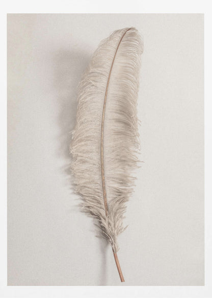 A minimalist photograph of a single, delicate, light beige feather with a thin brown quill, set vertically against a pale, textured gray background and surrounded by a thin black frame. Artwork