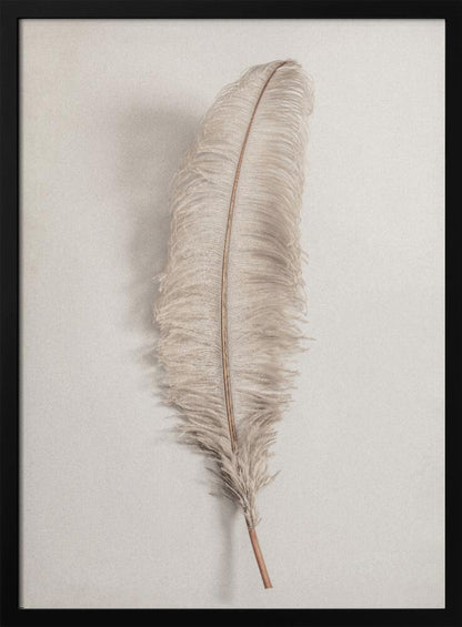 A minimalist photograph of a single, delicate, light beige feather with a thin brown quill, set vertically against a pale, textured gray background and surrounded by a thin black frame. Artwork