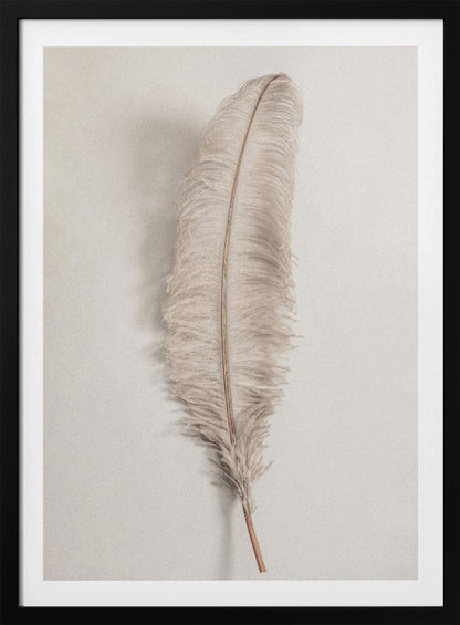 A minimalist photograph of a single, delicate, light beige feather with a thin brown quill, set vertically against a pale, textured gray background and surrounded by a thin black frame. Artwork
