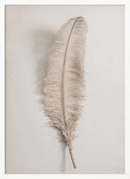 A minimalist photograph of a single, delicate, light beige feather with a thin brown quill, set vertically against a pale, textured gray background and surrounded by a thin black frame. Artwork