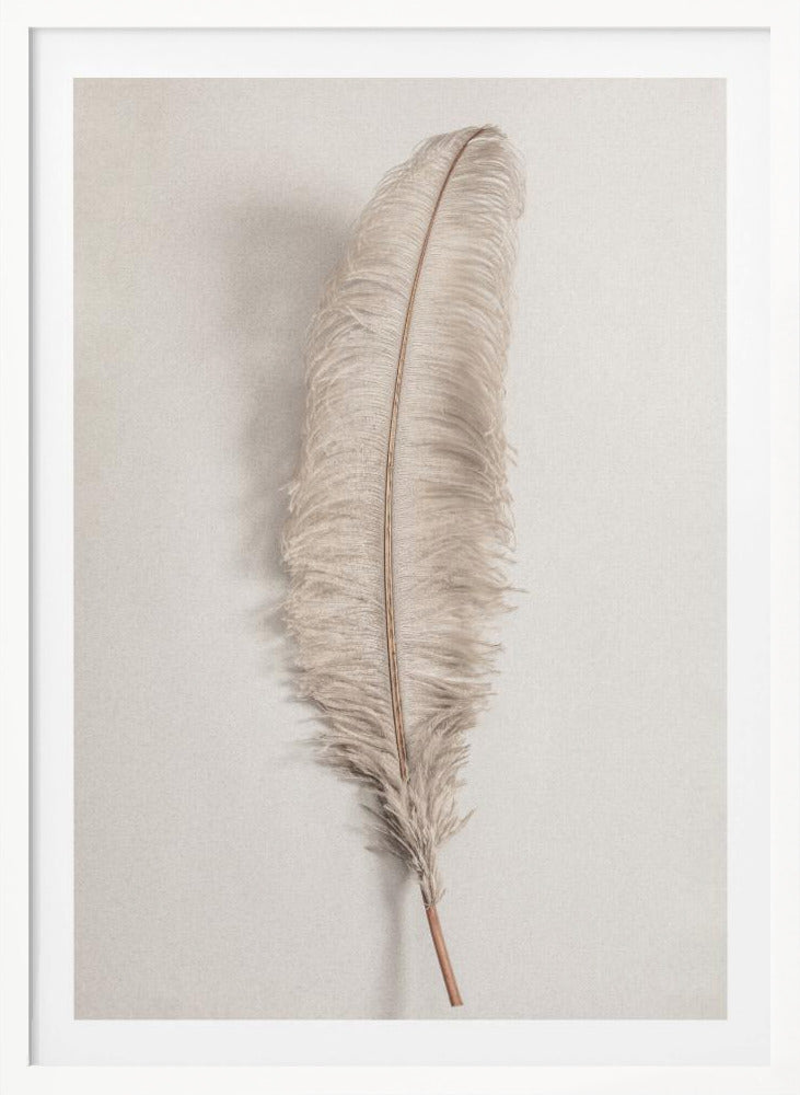 A minimalist photograph of a single, delicate, light beige feather with a thin brown quill, set vertically against a pale, textured gray background and surrounded by a thin black frame. Artwork
