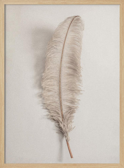 A minimalist photograph of a single, delicate, light beige feather with a thin brown quill, set vertically against a pale, textured gray background and surrounded by a thin black frame. Artwork