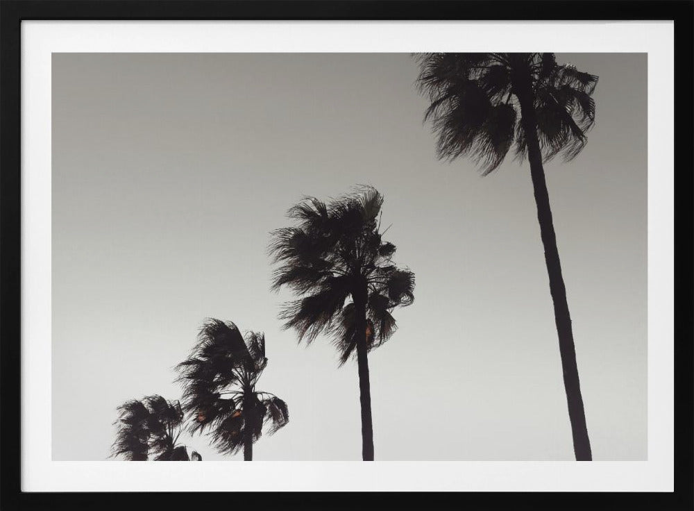 A framed black and white photograph of four silhouetted palm trees of increasing height, arranged diagonally against a plain, light grey sky. The palm fronds are blurred, suggesting they are blowing in the wind. Decor