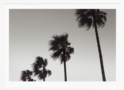 A framed black and white photograph of four silhouetted palm trees of increasing height, arranged diagonally against a plain, light grey sky. The palm fronds are blurred, suggesting they are blowing in the wind. Decor