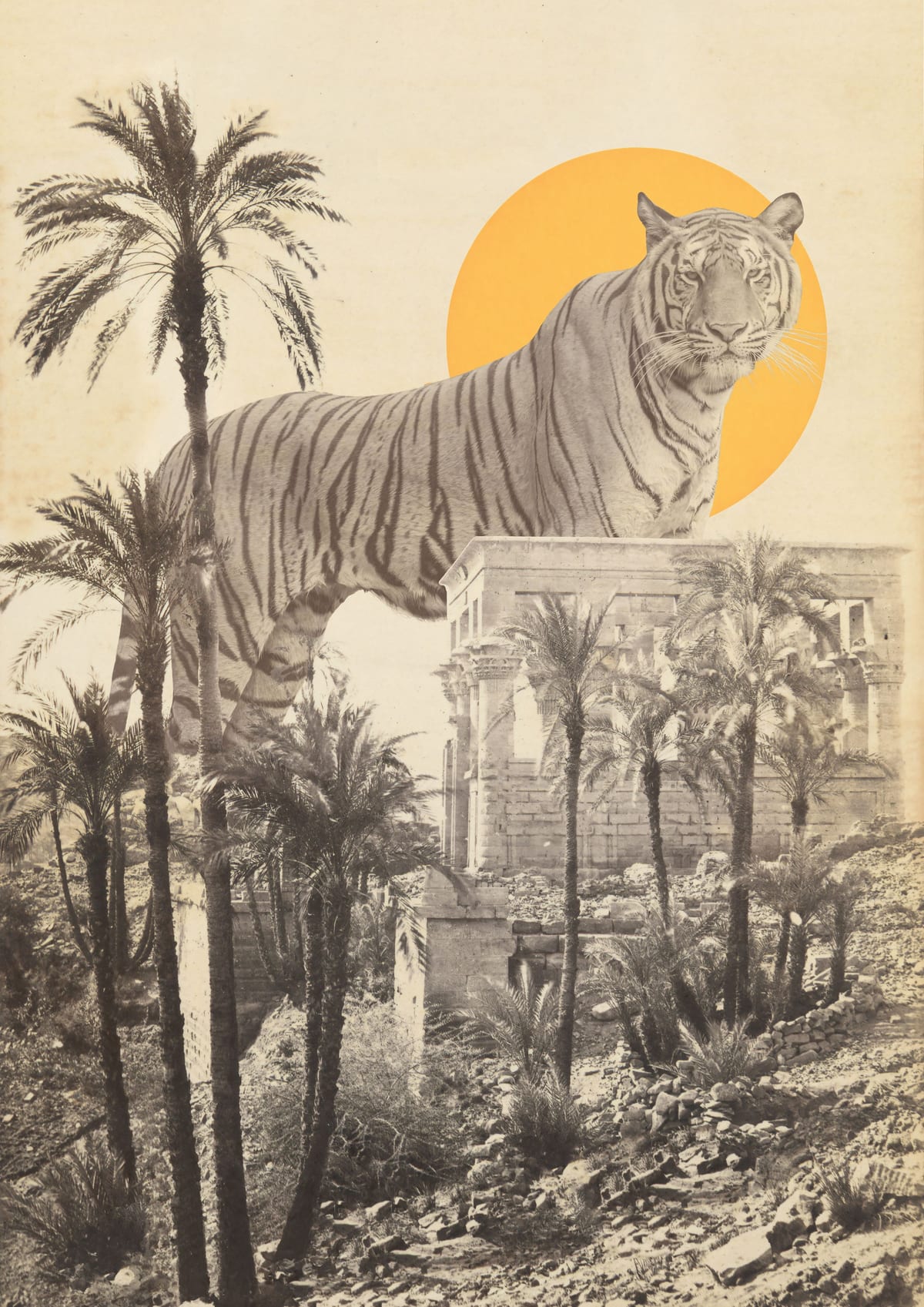 variant-21x30_no-margin