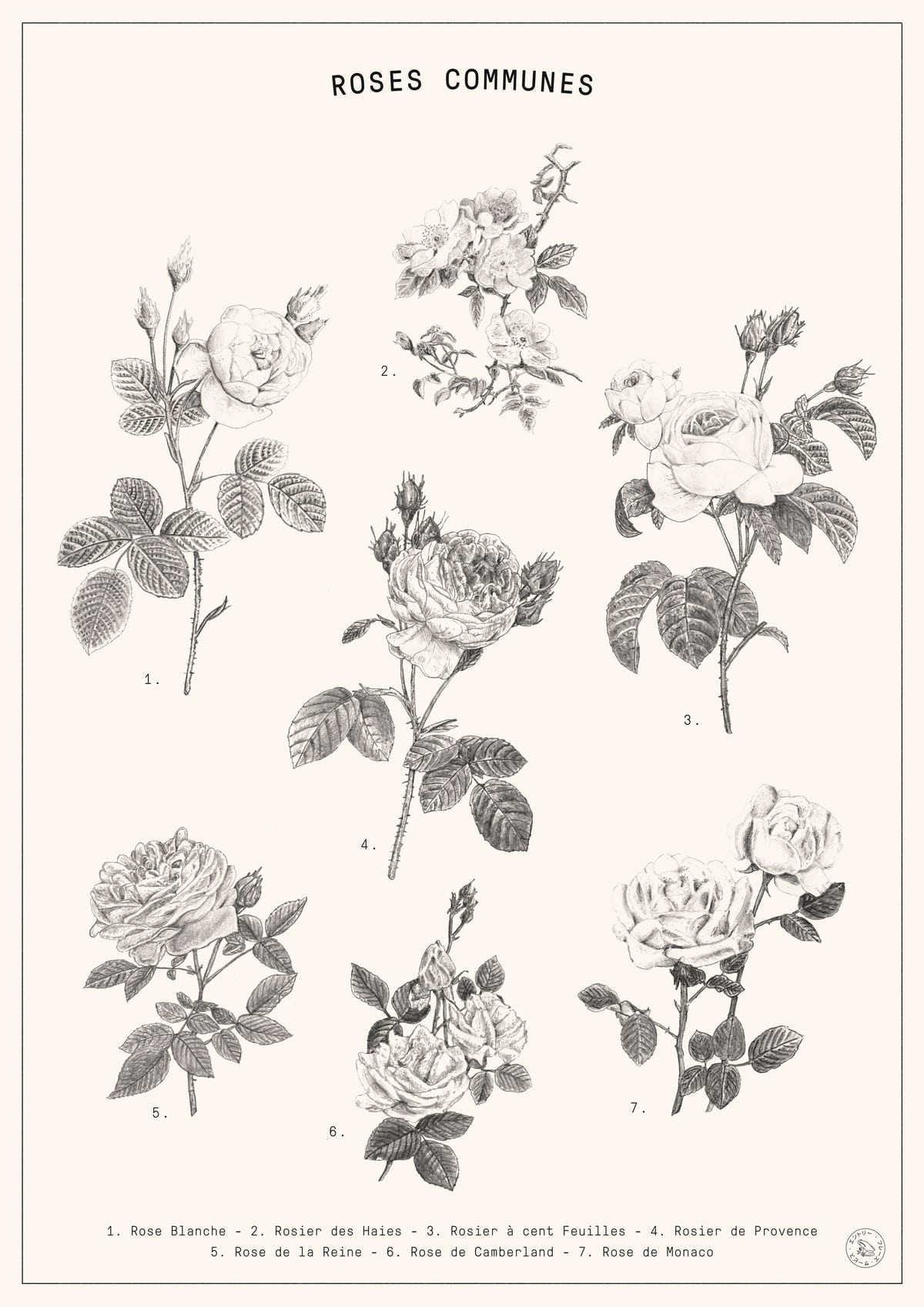 variant-21x30_no-margin