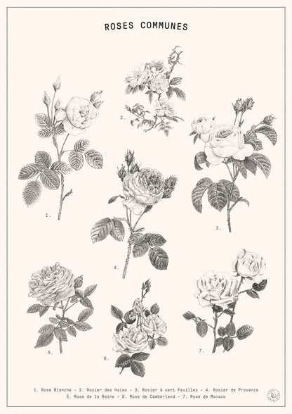 variant-21x30_no-margin