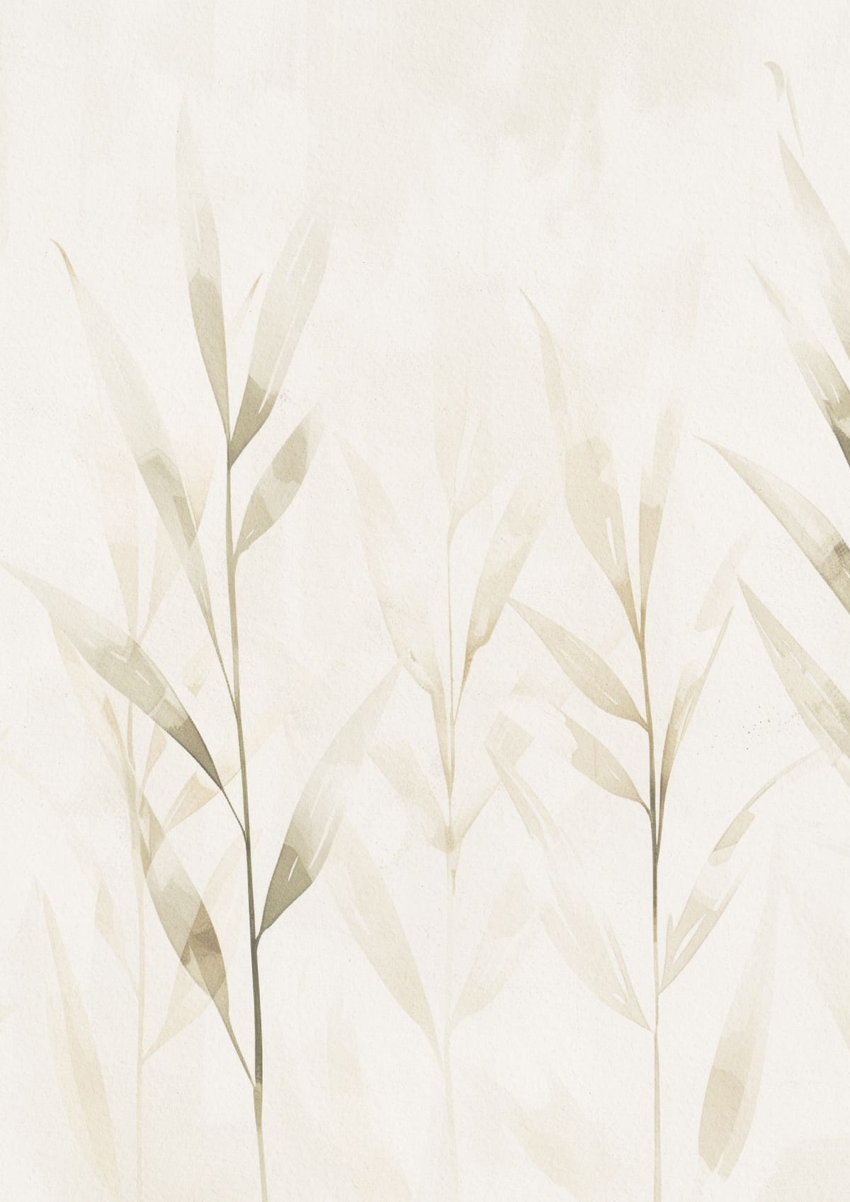 variant-21x30_no-margin