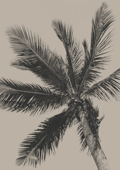 variant-21x30_no-margin