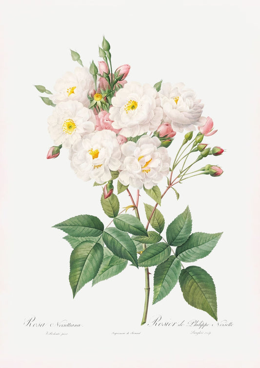 variant-21x30_no-margin