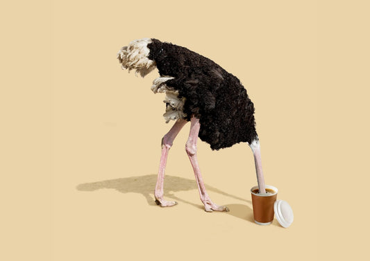 variant-21x30_no-margin